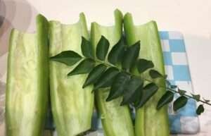 290160700_362152876034584_5121029685342835815_n